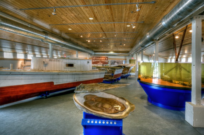 Wide angle image of the Oysters on the Half Shell permanent exhibition that opened to the public in 2008.
